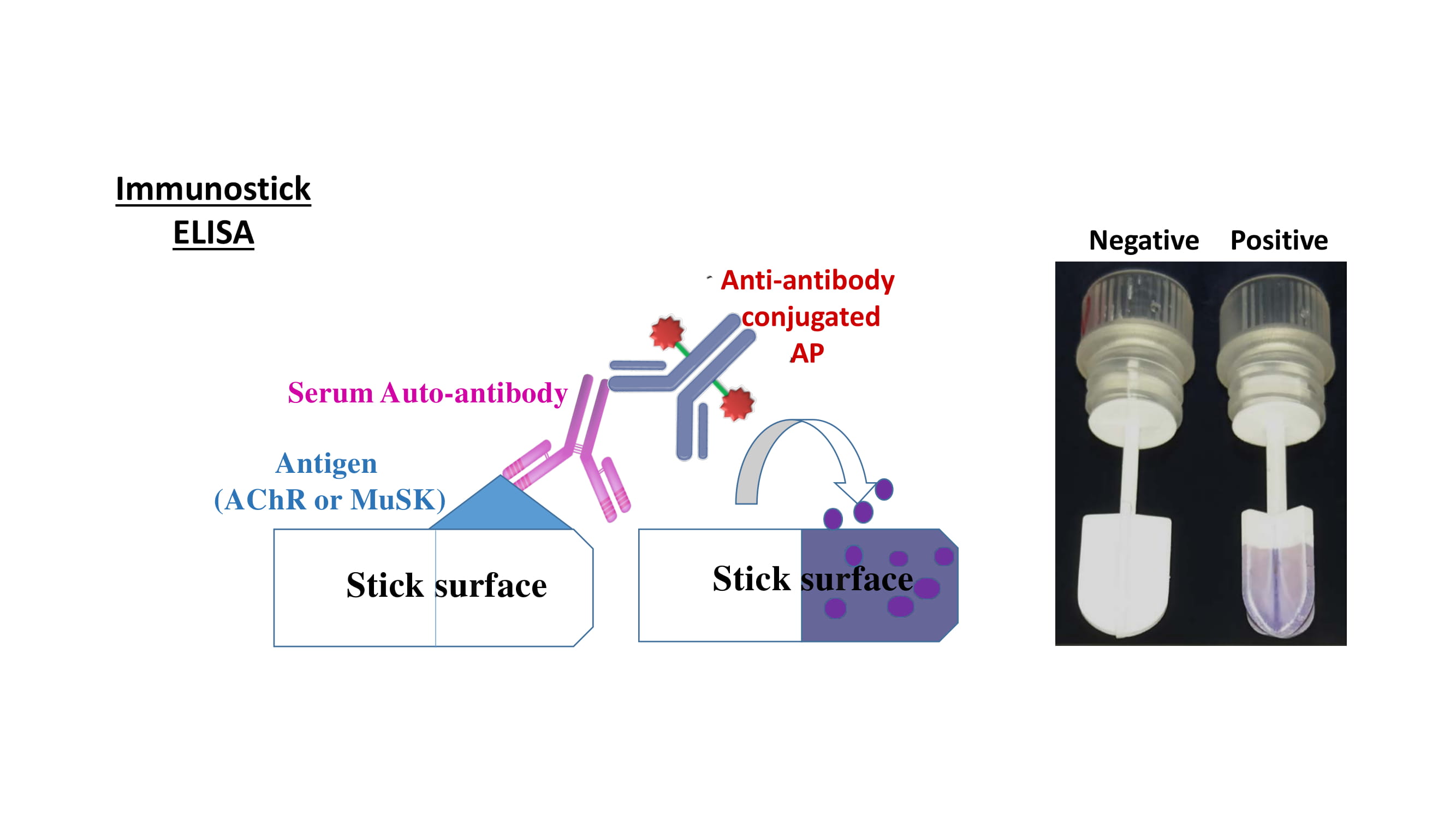 Graphical Abstract